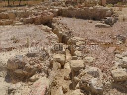 Yacimiento de Villaricos 2012